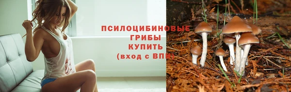 меф Богданович
