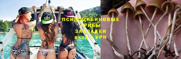 соль курить ск Богородск