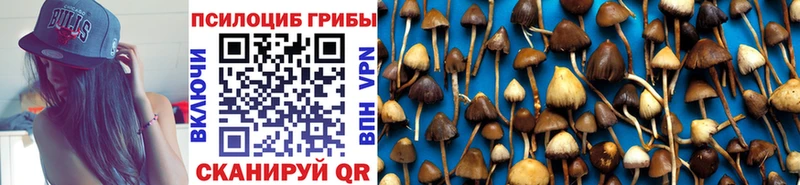 Псилоцибиновые грибы прущие грибы  как найти закладки  Верхотурье 